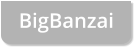 BigBanzai