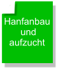 Hanfanbau  und  aufzucht